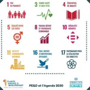 PE&D_Sustainable_Development_Objectives