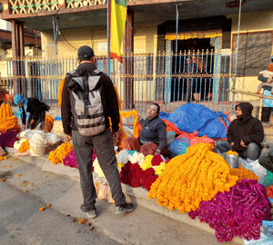 dashain